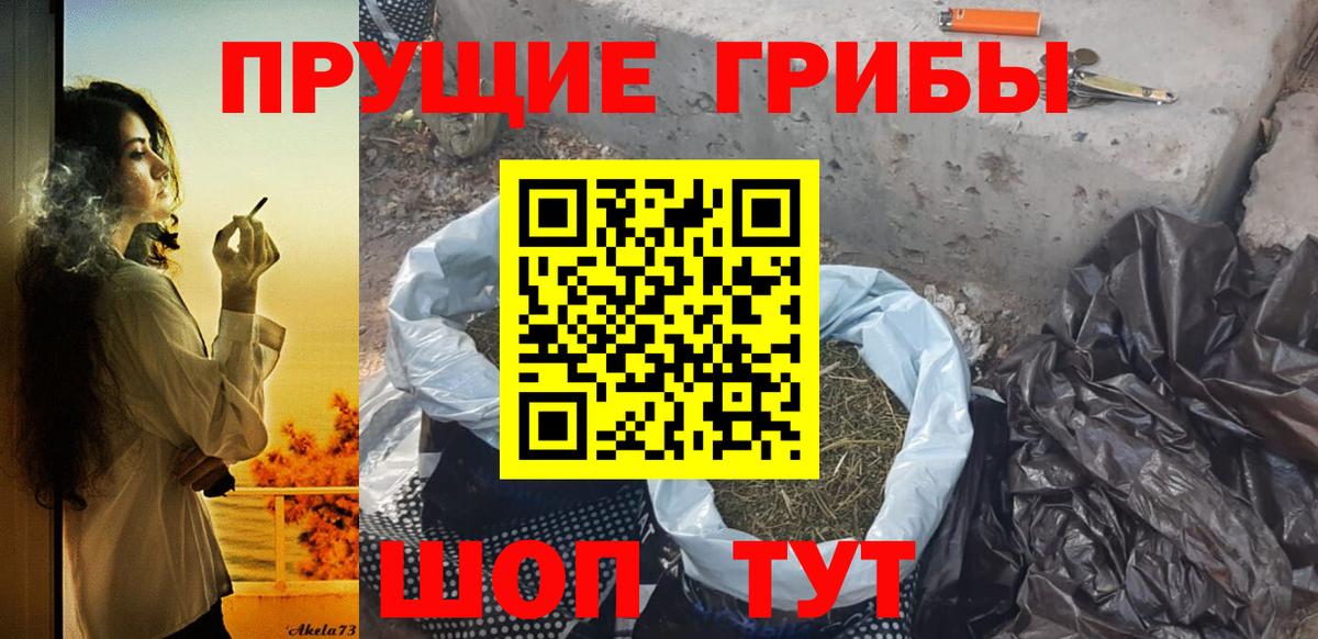 Псилоцибиновые грибы мицелий  Вход с VPN  купить закладку  Галлюциногенные грибы MAGIC MUSHROOMS  Волгоград 