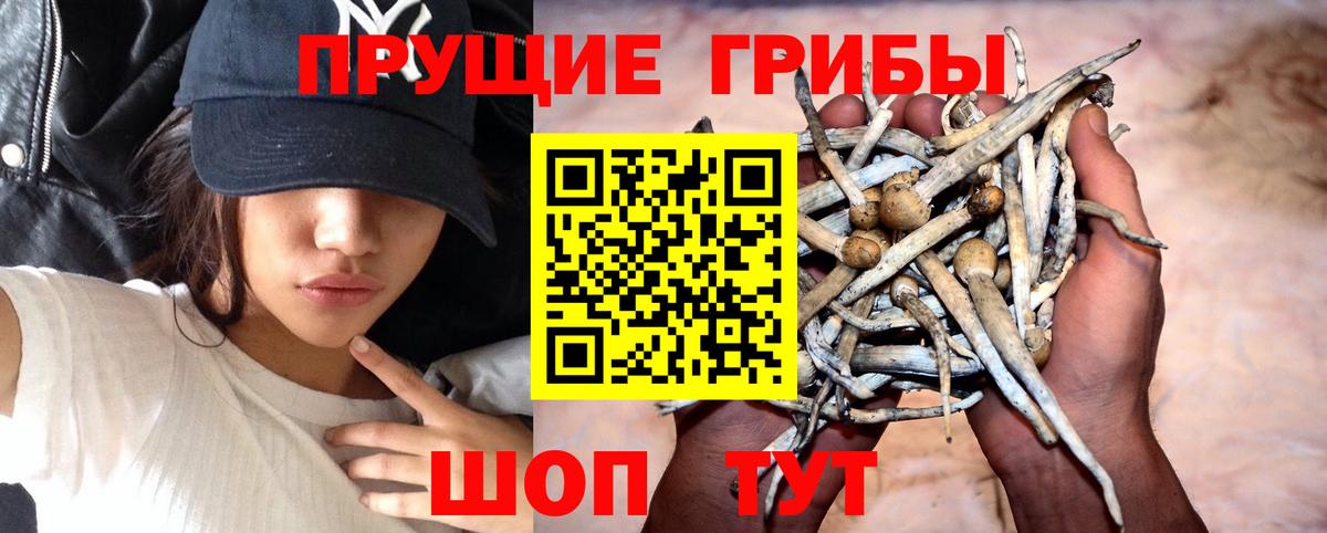 Галлюциногенные грибы ЛСД Волгоград